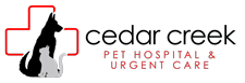 Vet in Olathe | Cedar Creek Pet Hospital